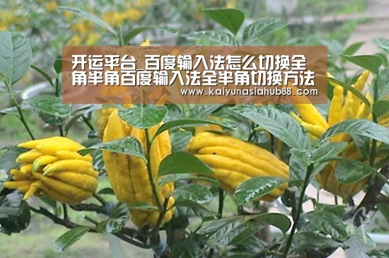 开运平台_百度输入法怎么切换全角半角百度输入法全半角切换方法(图1) 开运体育